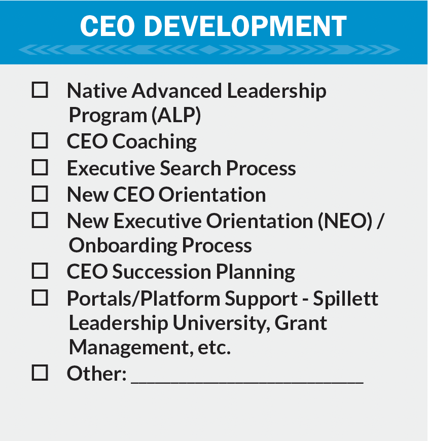 CEO Development